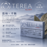 IQOS TEREA Balanced Regular（淡原味）煙彈：圖片 2